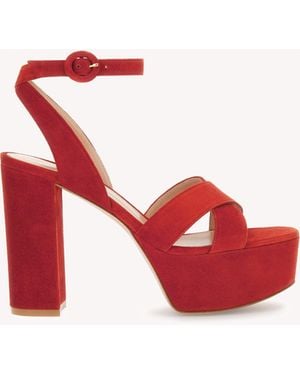 Gianvito Rossi Sabrina - Rouge