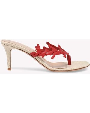 Gianvito Rossi Ocean Thong, Sandals And Mules - Pink