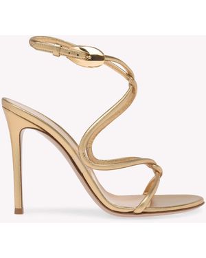Gianvito Rossi Mamba - Multicolour