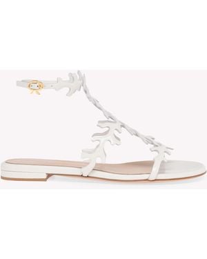 Gianvito Rossi Ocean Flat, Flats - Natural