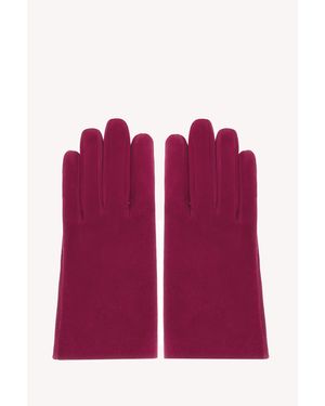 Gianvito Rossi Glove, Rose - Violet