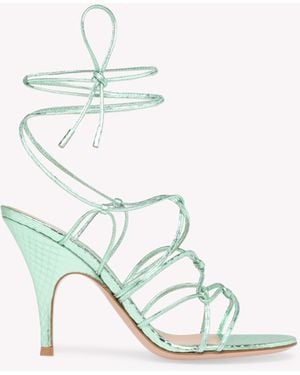 Gianvito Rossi Teti 95 - White
