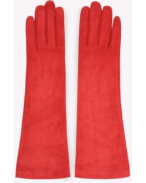 Gianvito Rossi Mimì, Accessories - Red