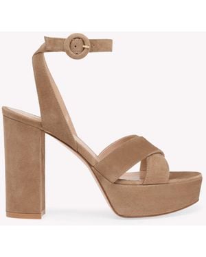 Gianvito Rossi Sabrina - Pink