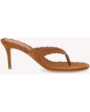 Gianvito Rossi Zaira Thong, Sandals And Mules - Natural