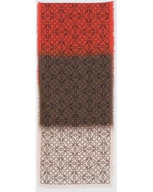 Loewe Scarf - Multicolor