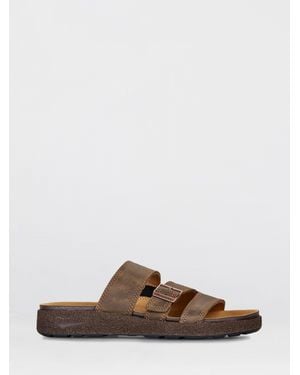 Blundstone Shoes - Brown