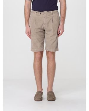 PT Torino Velvet Tailored Shorts - Natural