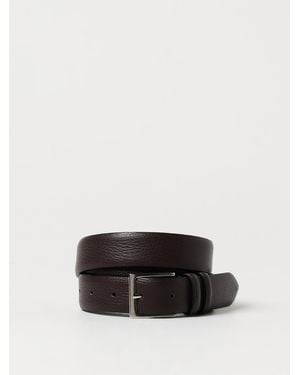 XC Belt - Multicolour