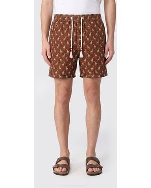 MC2 Saint Barth Shorts - Orange