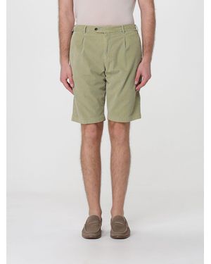 PT Torino Velvet Tailored Shorts - Green