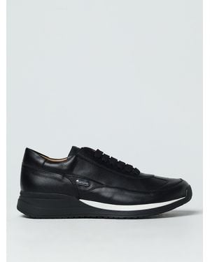 Cesare Paciotti Sneakers - Black