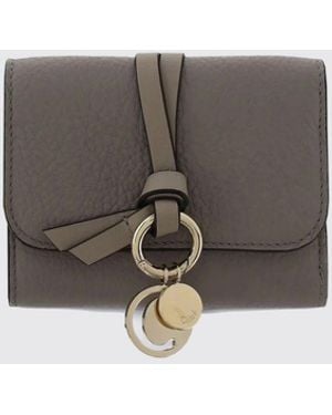Chloé ChloÉ Wallet - Gray