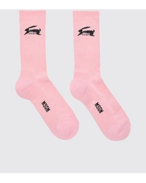 MSGM Lingerie - Pink