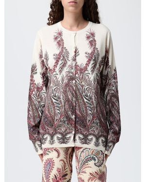 Etro Jumper - Grey