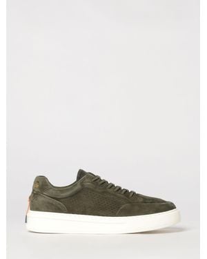 Barracuda Sneakers - Green