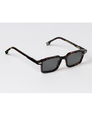 Kyme Sunglasses - Brown