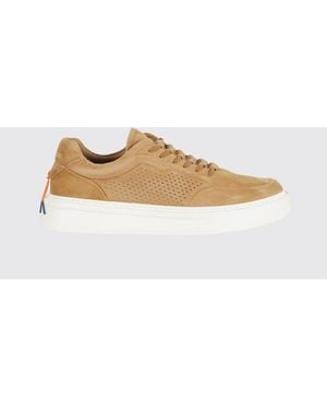 Barracuda Sneakers - White