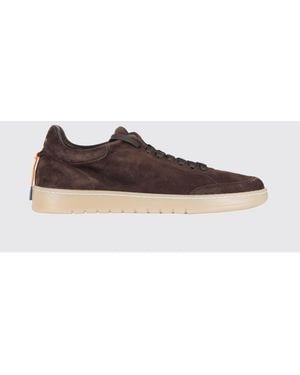 Barracuda Sneakers - Brown