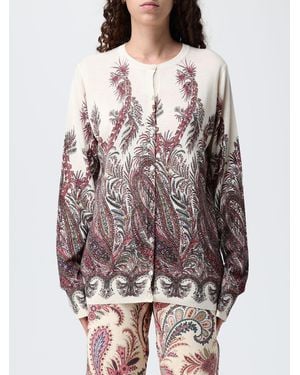 Etro Sweater - Grey