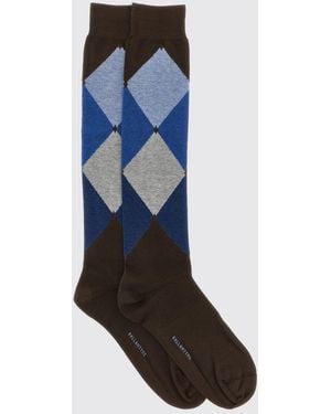 Ballantyne Socks - Blue