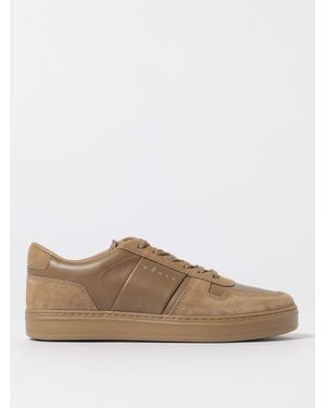 Hogan Sneakers - Brown