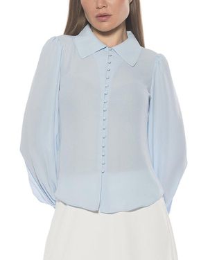 Alexia Admor Rah Blouse - Blue