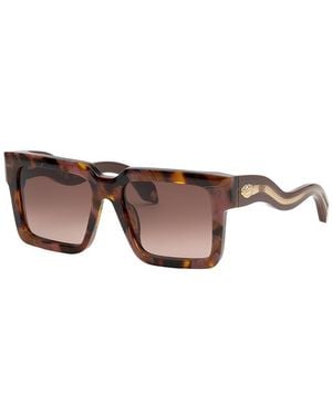 Roberto Cavalli 55Mm Sunglasses - Brown