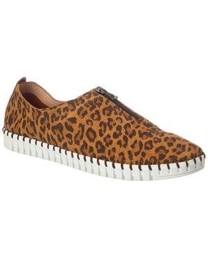 Eric Michael Marlo Suede Trainer - Brown
