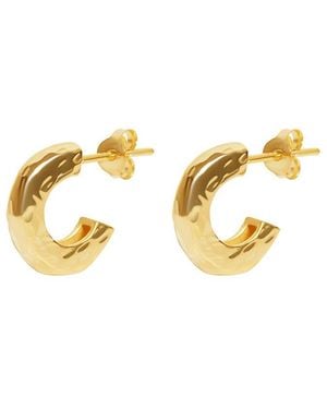 Argento Vivo Silver Earrings - Metallic