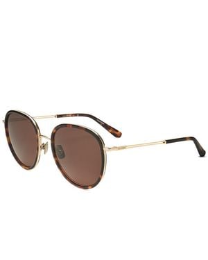 Sandro 53Mm Sunglasses - Brown