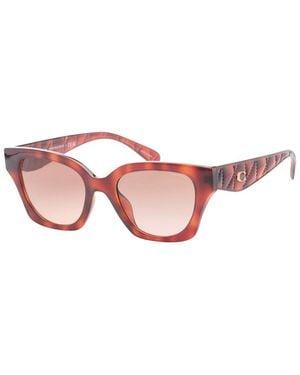 COACH Hc8418U 53Mm Sunglasses - Pink
