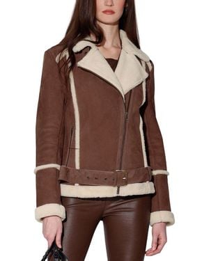 Walter Baker Jessica Suede Jacket - Brown