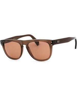 Ferragamo Sf1111S 55Mm Sunglasses - Brown
