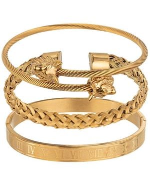 Eye Candy LA Premium Collection Titanium Numeral Lion 3pc Stretch Bracelet Set - Metallic