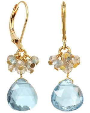 Rachel Reinhardt Jewelry Gemstone Cluster Earrings - Blue
