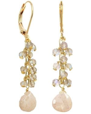 Rachel Reinhardt Jewelry Gemstone Cluster Earrings - Metallic