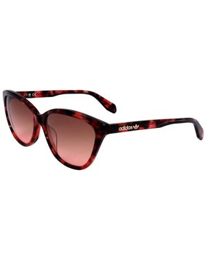 adidas Or0041 58Mm Sunglasses - Brown