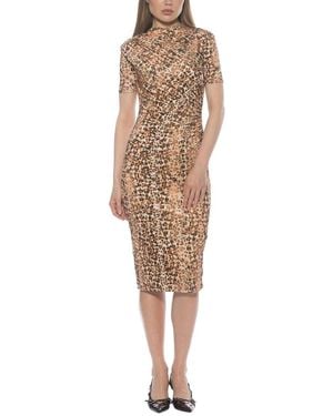 Alexia Admor Santal Fit & Flare Dress - Natural