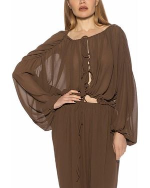 Alexia Admor Luca Top - Brown