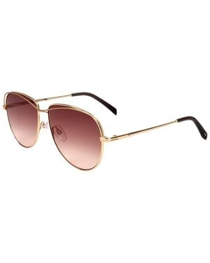 Maje Mj7009 55Mm Sunglasses - Brown