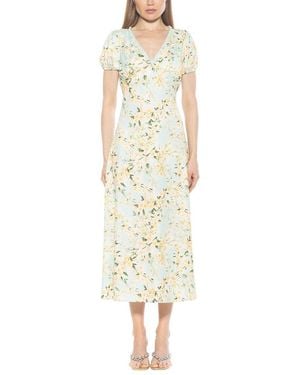 Alexia Admor Silvius Maxi Dress - Multicolor