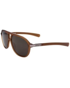 Alexander Wang Or0136 58Mm Sunglasses - Brown