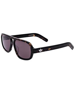 Alexander Wang Adidas 55Mm Sunglasses - Brown