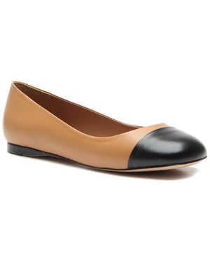 Vicenza Cali Patent Ballerina - Brown