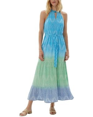 ecru Hathaway Embroidered Maxi Dress - Blue