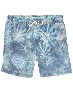 Sol Angeles Golden Barrel Swim Short - Blue