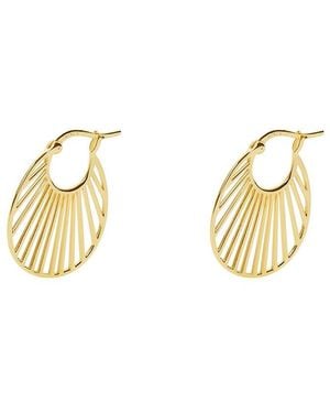Argento Vivo Silver Hoop Earrings - Metallic