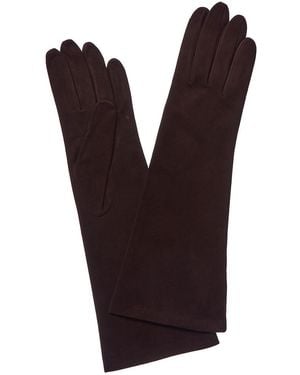 Portolano Suede Teak Gloves - Multicolor