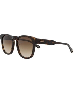 Chloé 54Mm Sunglasses - Brown